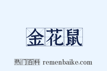 金花鼠是什么意思的图片